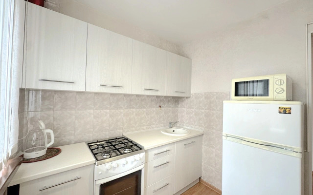 Dvukhkomnatnaya S Balkonom i Konditsionerom V Tsentre Na Vesenney Flat