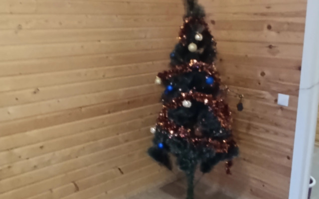 Гостевой дом Бьерн Хаус