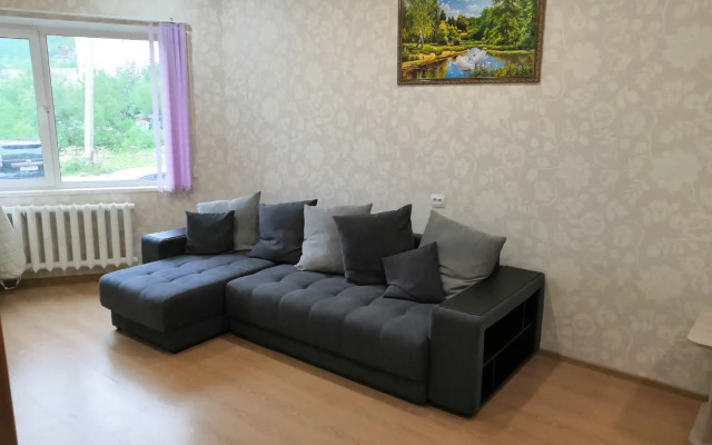 Квартира Олимпийская 85