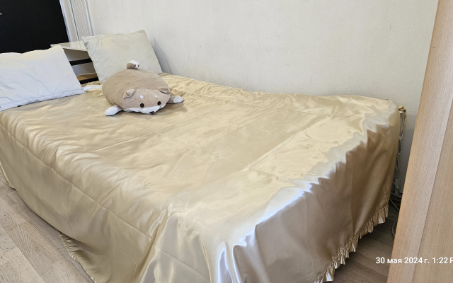 Квартира Качественный Бюджетный Вариант у Метро Комендантский Проспект