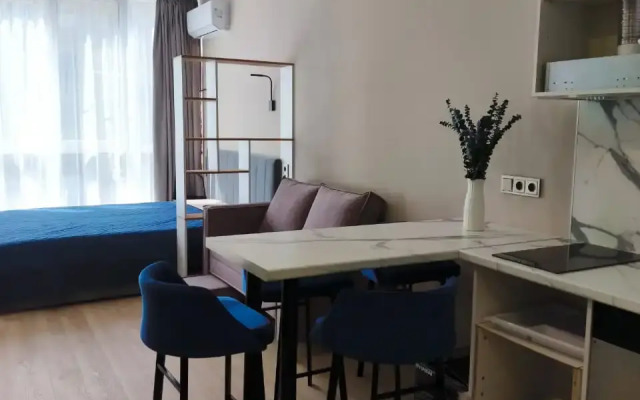 Uyutnaya Svetlaya Studiya S Panoramnymi Oknami Flat
