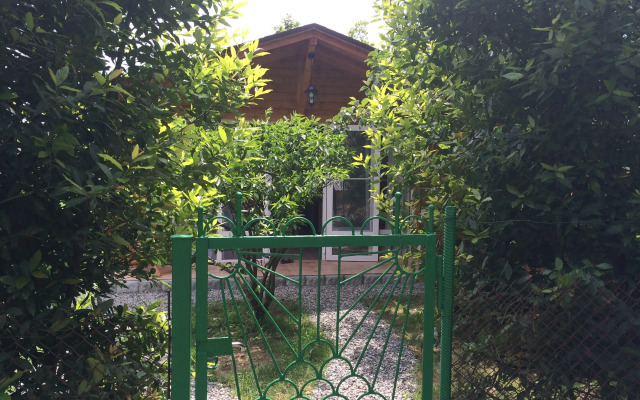 Ekodomik Bungalow
