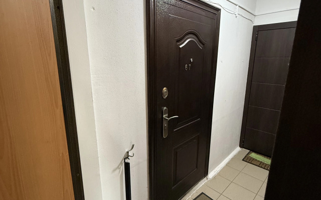 Uyutnaya Odnushka s Dizaynerskim Remontom Flat