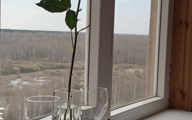 Квартира Уютная, светлая в Нижнем-Новгороде