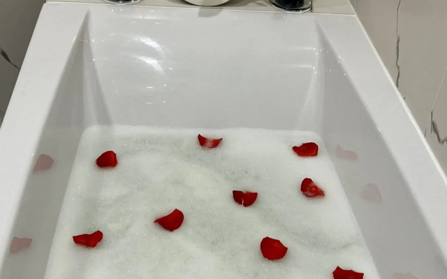 Апартаменты Flat in Red Baden Spa