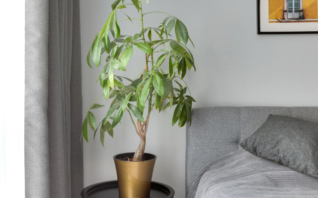 Апартаменты Рим от Home24