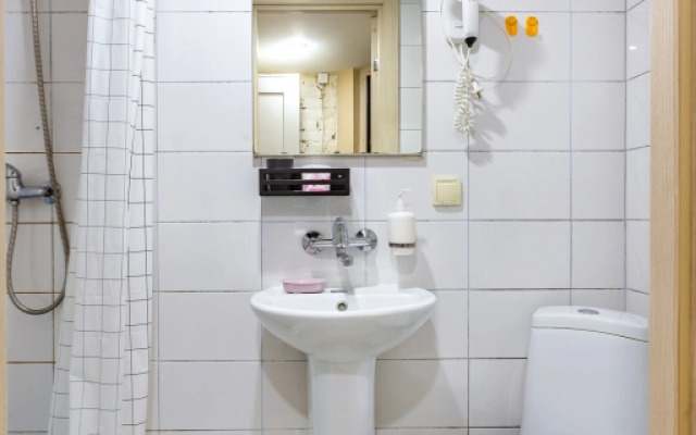 Апартаменты Roomstay Большой стандарт