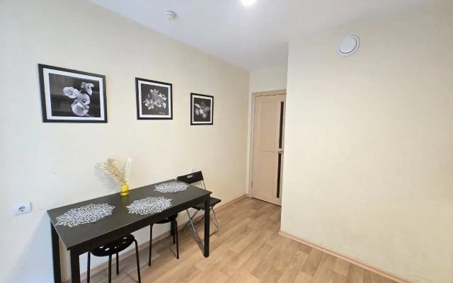 Апартаменты KiraLive Центр Нижнего Новгорода на Невзоровых