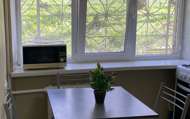 V Zheleznovodske Flat