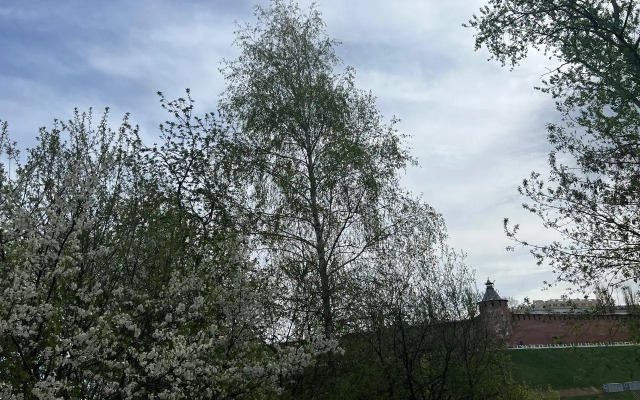 Квартира Двухкомнатная Видовая на Стрелке