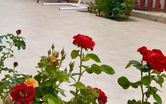 Гостевой дом Ника