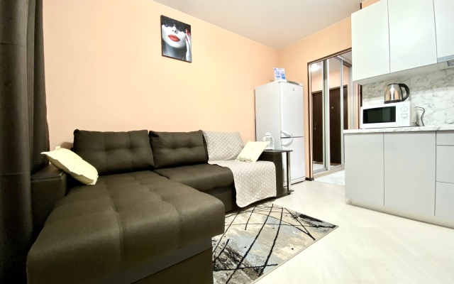 Апартаменты Проспект Молодёжный 33к1 квартира 151