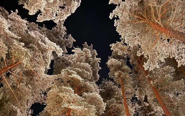 Отель Курорт Большое Борково