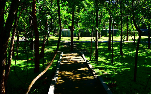 Sigiri Asna Nature Resort Hotel