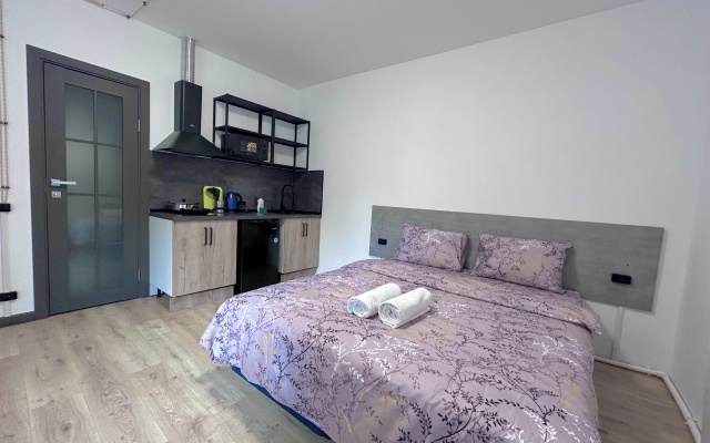 Maxi Na Maloy Zelenovskoy Apartments