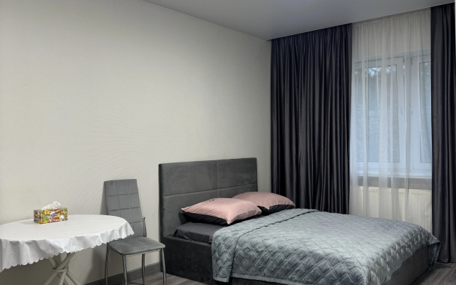 Апартаменты уютные с новым ремонтом