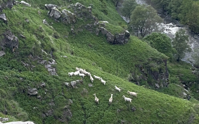 Гостевой дом Amrakits Canyon