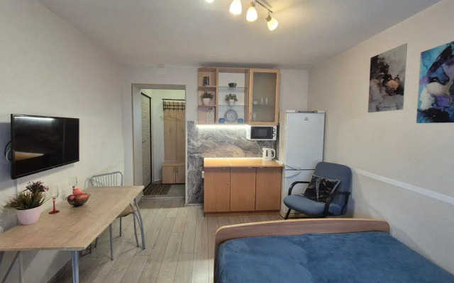 Kvartira-studiya s Lodzhiej na Sinel'nikova 1 Flat