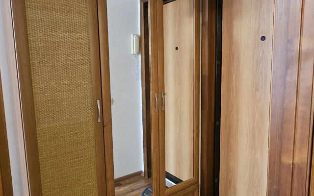 Kvartira na Izyskatelej 38A kv 21