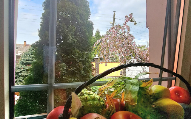 Вилла Магнолия