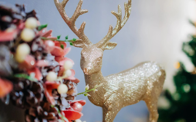 Гостиница SADU Москва, участник Radisson Individuals