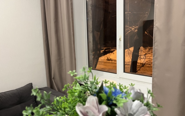 Квартира Апартаменты LOYAL'Ь Карла Маркса 66