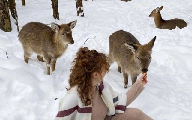 Гостевой дом Бэмби Лэнд