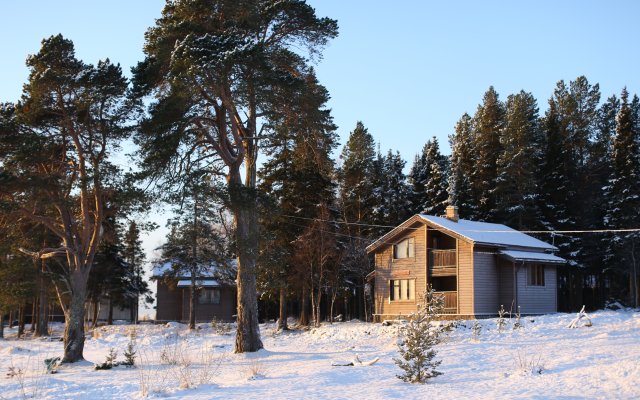 Cedar Grass Белое Море