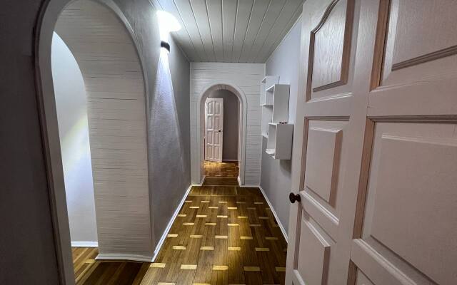 Tolstoy Demonstratsii 38 Flat