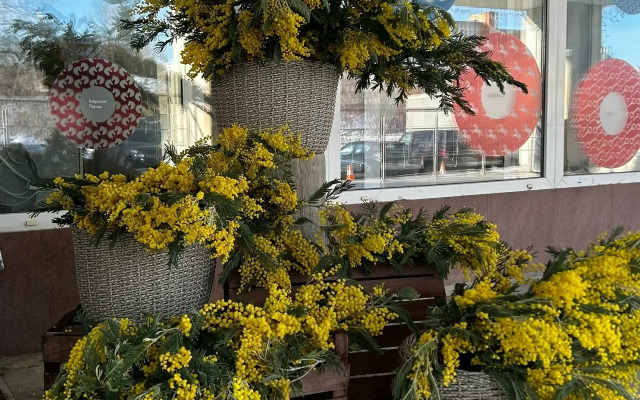 Отель Турист