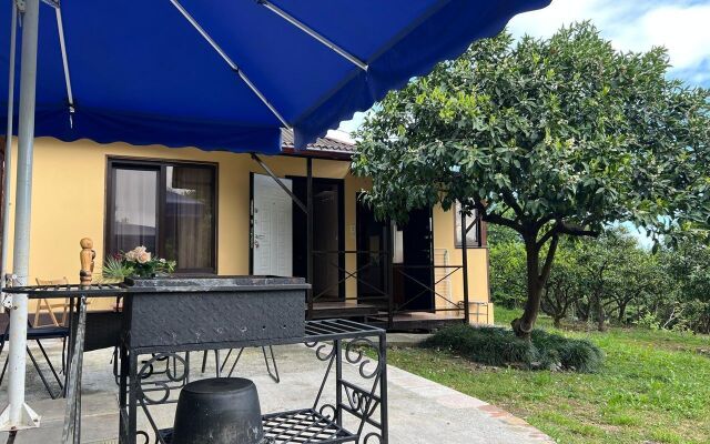 Mandarinovy Dvorik Private House