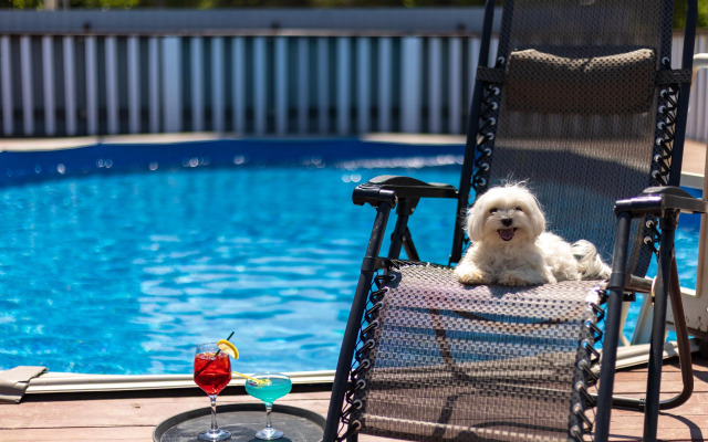 Отель Кумуткан