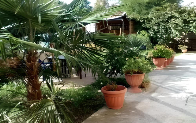 Oazis Na Molodezhnoj Guesthouse