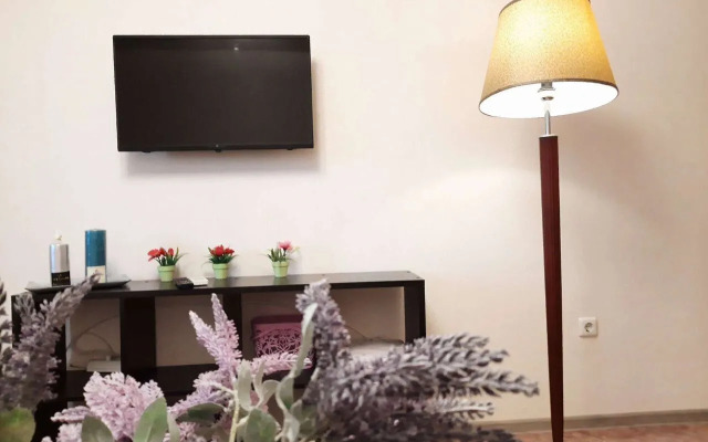 Апартаменты на Московском Проспекте 120 (450)