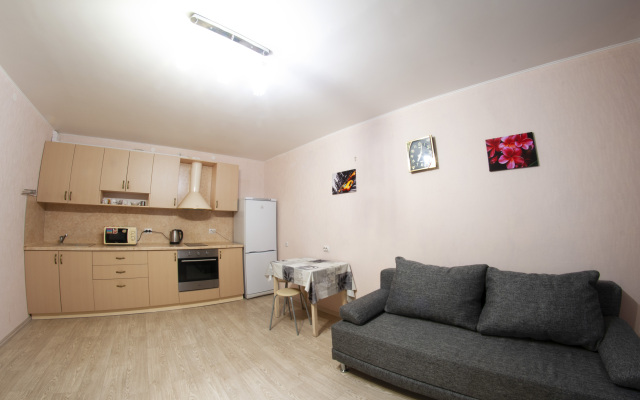 Na Zavodskoj 1 Apartments