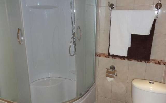 Двухместный номер standard мансарда — фото 4