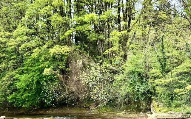 Отель Sazano Wine Cellar