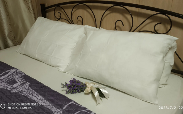 Guest house Nasha Dacha