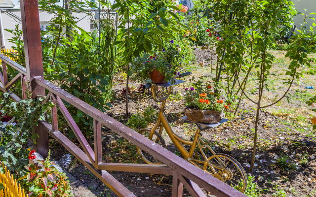 Faina Guest house