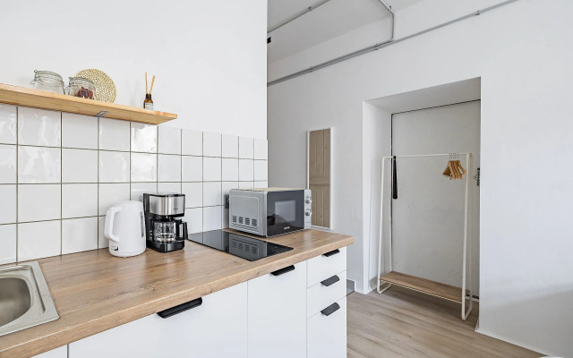 Studiya vo Fligele Starinnogo Doma Flat
