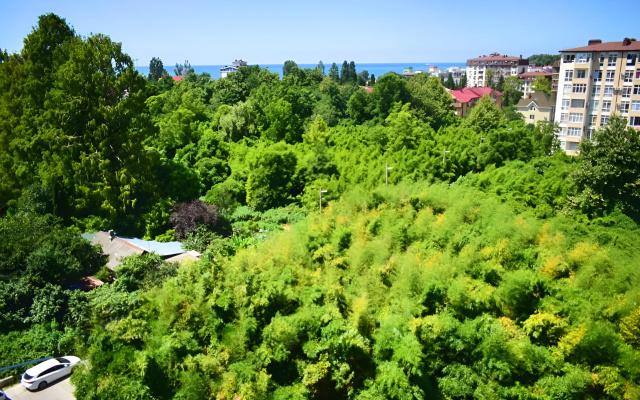 Apartamenty 2h Komnatnye s Krasivymi Vidami na More i Gory v Siriuse