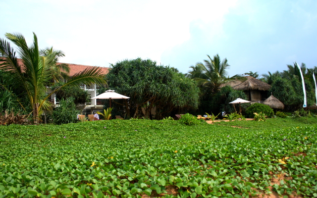 Temple Tree Resort & Spa