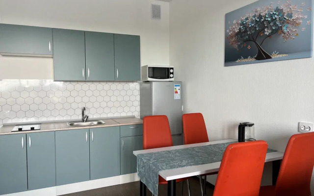 Апартаменты Вид на Неву с высоты птичьего полёта