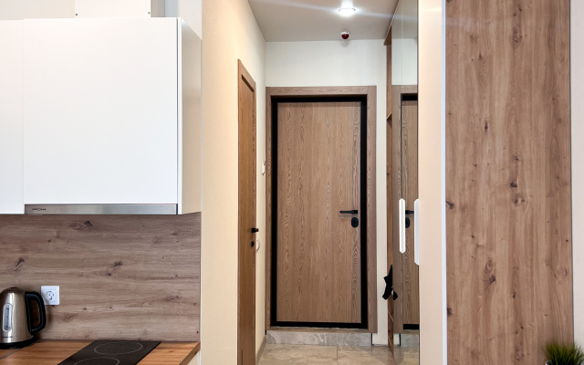 Apartment on Tolstogo