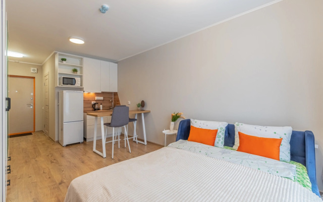 Apartment Standart SalutApart 8
