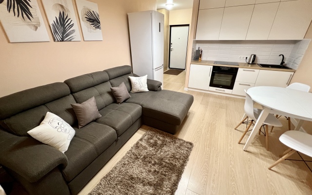 Nasutki38 Lyuks v Tsentre s vidom Apartments