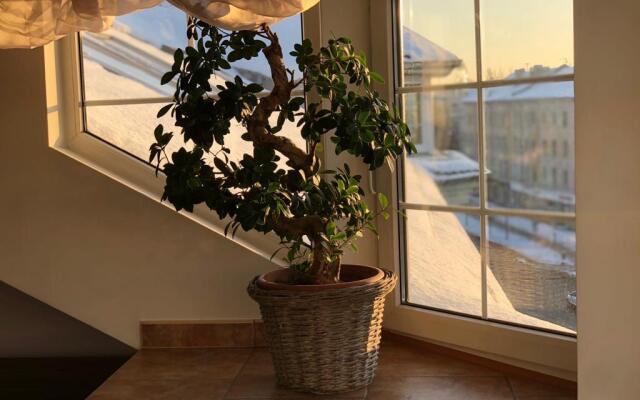 Апартаменты у парка королевы Луизы