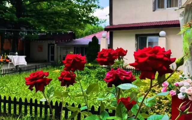 Ethto Adventure Camp Hostel