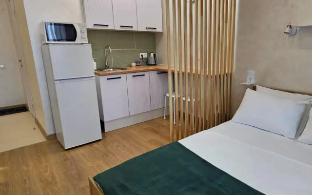 Квартира Зелёная студия