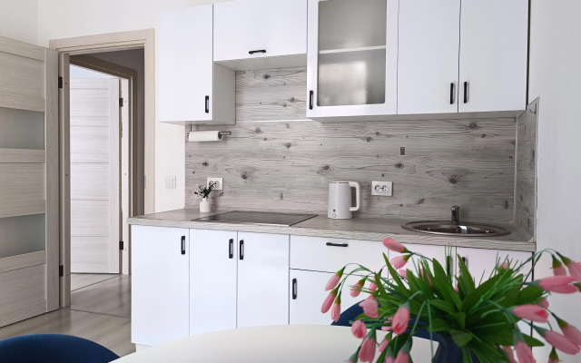 Апартаменты Отличный вариант для отдыха и работы